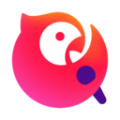 ssr节点包月