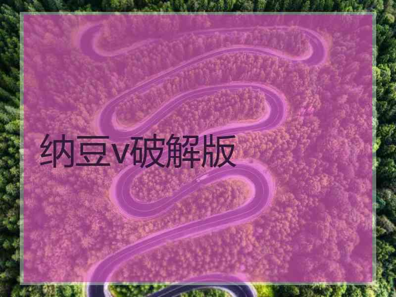 纳豆v破解版